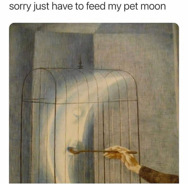 sorry just have to feed my pet moon