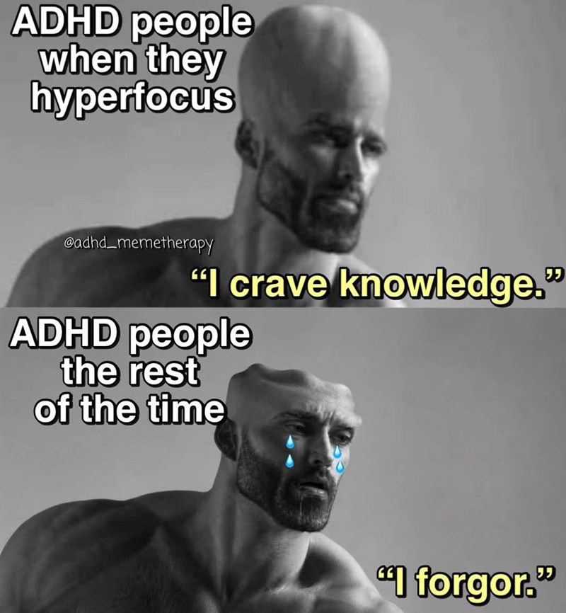 ADHD people when they hyperfocus @adhd_memetherapy "I crave knowledge." ADHD people the rest of the time "I forgor."