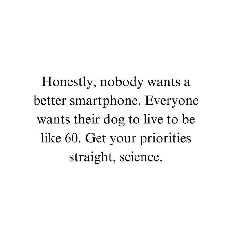 Honestly, nobody wants a better smartphone. Everyone wants their dog to live to be like 60. Get your priorities straight, science.