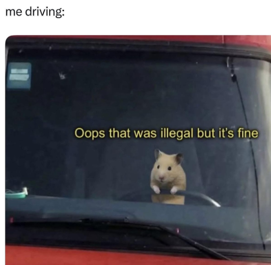 me driving: Oops that was illegal but it's fine