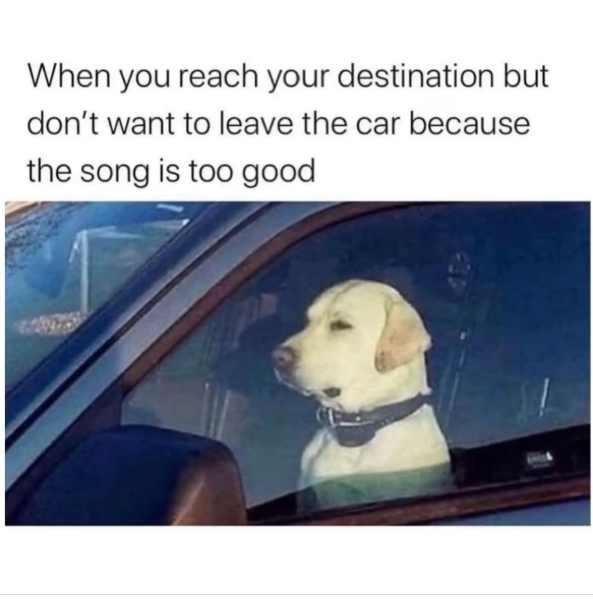 When you reach your destination but don't want to leave the car because the song is too good