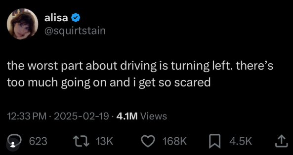 alisa @squirtstain the worst part about driving is turning left. there's too much going on and i get so scared 12:33 PM - 2025-02-19.4.1M Views 623 13K 168K 4.5K ↑