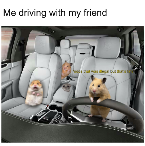 Me driving with my friend foeps that was illegal but that's fine