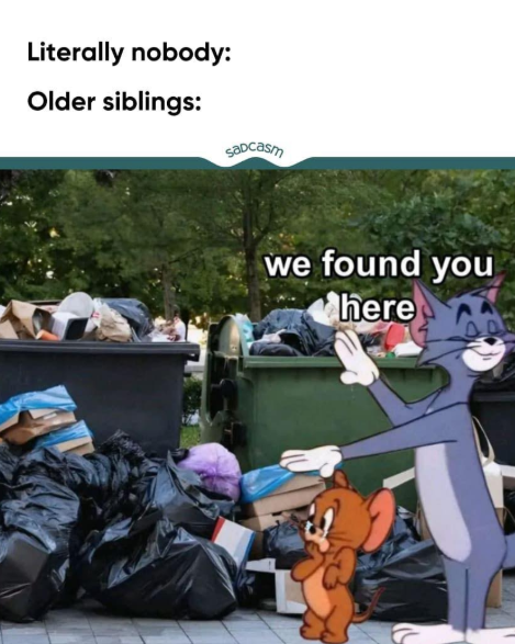 Literally nobody: Older siblings: Sadcasm we found you here
