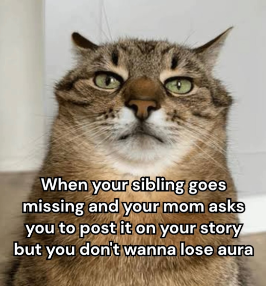 When your sibling goes missing and your mom asks you to post it on your story but you don't wanna lose aura
