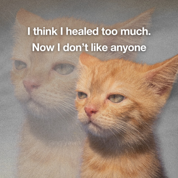 I think I healed too much. Now I don't like anyone ang yawy