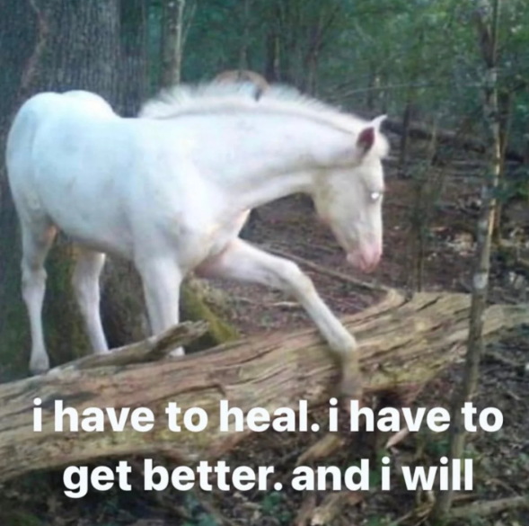 i have to heal. i have to get better. and i will