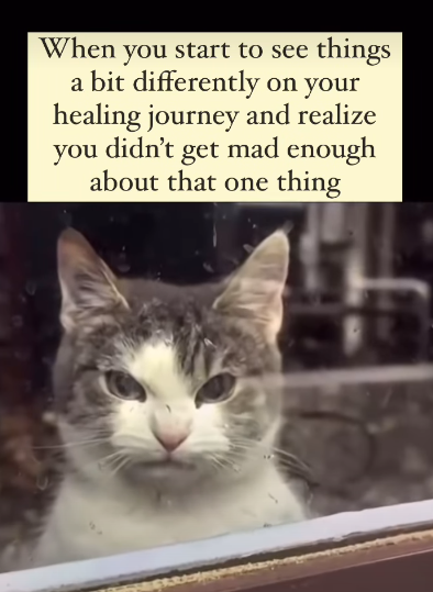 When you start to see things a bit differently on your healing journey and realize you didn't get mad enough about that one thing