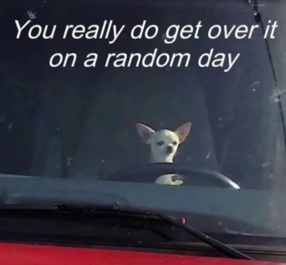 You really do get over it on a random day