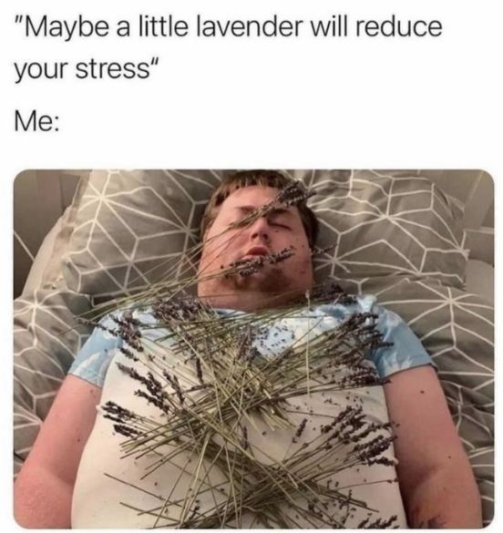 "Maybe a little lavender will reduce your stress" Me: