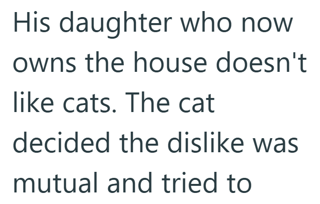 His daughter who now owns the house doesn't like cats. The cat decided the dislike was mutual and tried to
