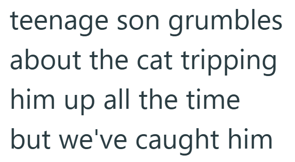 teenage son grumbles about the cat tripping him up all the time but we've caught him