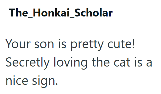 The_Honkai Scholar Your son is pretty cute! Secretly loving the cat is a nice sign.