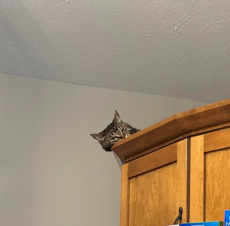 V