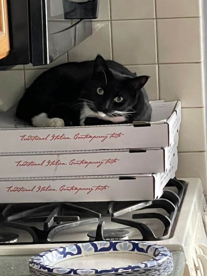 Traditional Italian. Contemporary taste Traditional Italian. Contemporary taste Traditional Italian. Contemporary taste