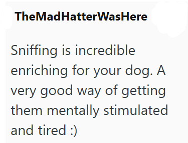TheMadHatterWasHere Sniffing is incredible enriching for your dog. A very good way of getting them mentally stimulated and tired :)