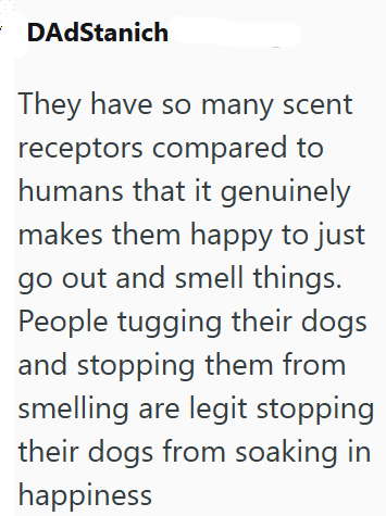 DAdStanich They have so many scent receptors compared to humans that it genuinely makes them happy to just go out and smell things. People tugging their dogs and stopping them from smelling are legit stopping their dogs from soaking in happiness