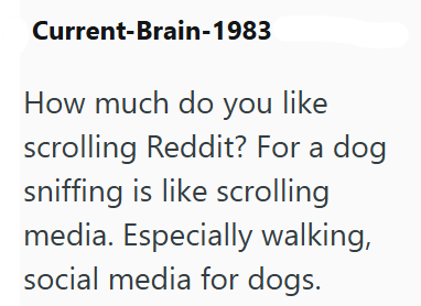 Current-Brain-1983 How much do you like scrolling Reddit? For a dog sniffing is like scrolling media. Especially walking, social media for dogs.