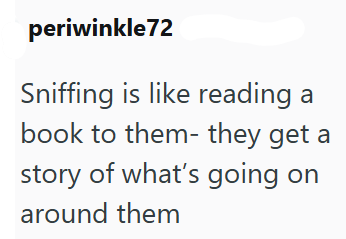 periwinkle 72 Sniffing is like reading book to them- they get a story of what's going on around them