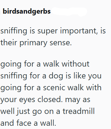 birdsandgerbs sniffing is super important, is their primary sense. going for a walk without sniffing for a dog is like you going for a scenic walk with your eyes closed. may as well just go on a treadmill and face a wall.