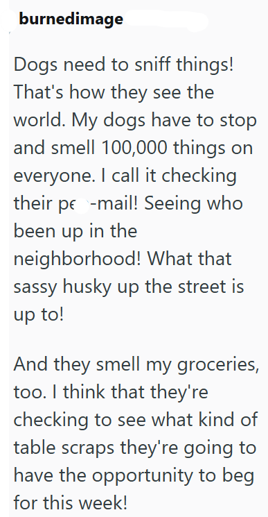 burnedimage Dogs need to sniff things! That's how they see the world. My dogs have to stop and smell 100,000 things on everyone. I call it checking their pe-mail! Seeing who been up in the neighborhood! What that sassy husky up the street is up to! And they smell my groceries, too. I think that they're checking to see what kind of table scraps they're going to have the opportunity to beg for this week!