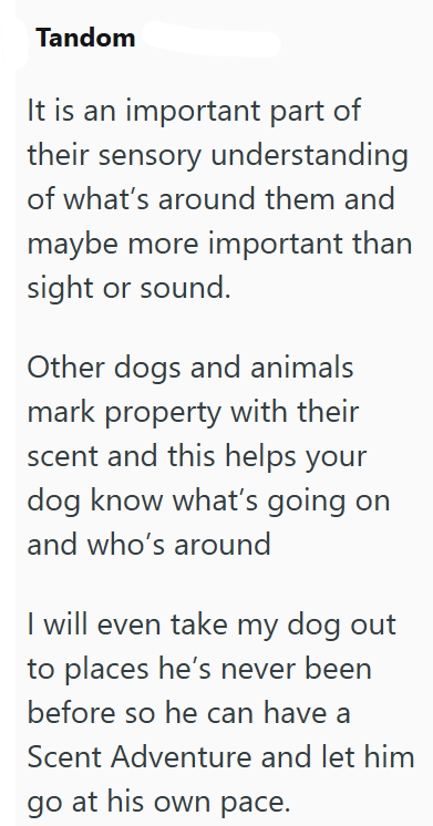 Tandom It is an important part of their sensory understanding of what's around them and maybe more important than sight or sound. Other dogs and animals mark property with their scent and this helps your dog know what's going on and who's around I will even take my dog out to places he's never been before so he can have a Scent Adventure and let him go at his own pace.