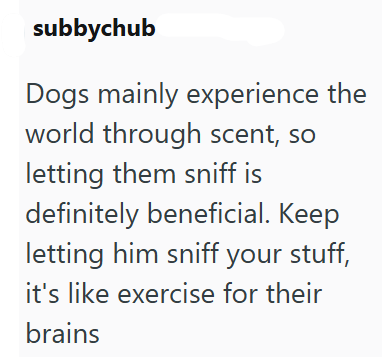 subbychub Dogs mainly experience the world through scent, so letting them sniff is definitely beneficial. Keep letting him sniff your stuff, it's like exercise for their brains