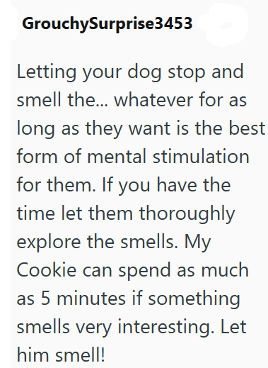 GrouchySurprise3453 Letting your dog stop and smell the... whatever for as long as they want is the best form of mental stimulation for them. If you have the time let them thoroughly explore the smells. My Cookie can spend as much as 5 minutes if something smells very interesting. Let him smell!