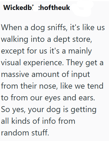 Wickedb hoftheuk When a dog sniffs, it's like us walking into a dept store, except for us it's a mainly visual experience. They get a massive amount of input from their nose, like we tend to from our eyes and ears. So yes, your dog is getting all kinds of info from random stuff.