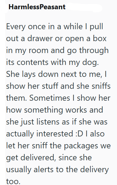 HarmlessPeasant Every once in a while I pull out a drawer or open a box in my room and go through its contents with my dog. She lays down next to me, I show her stuff and she sniffs them. Sometimes I show her how something works and she just listens as if she was actually interested :D I also let her sniff the packages we get delivered, since she usually alerts to the delivery too.