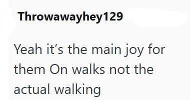 Throwawayhey129 Yeah it's the main joy for them On walks not the actual walking
