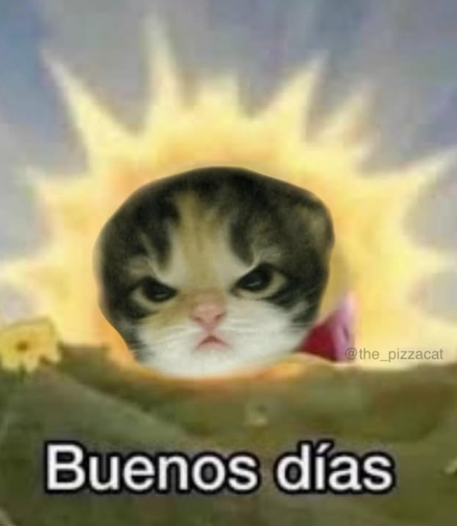 @the_pizzacat Buenos días