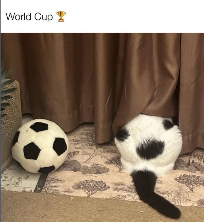 World Cup २