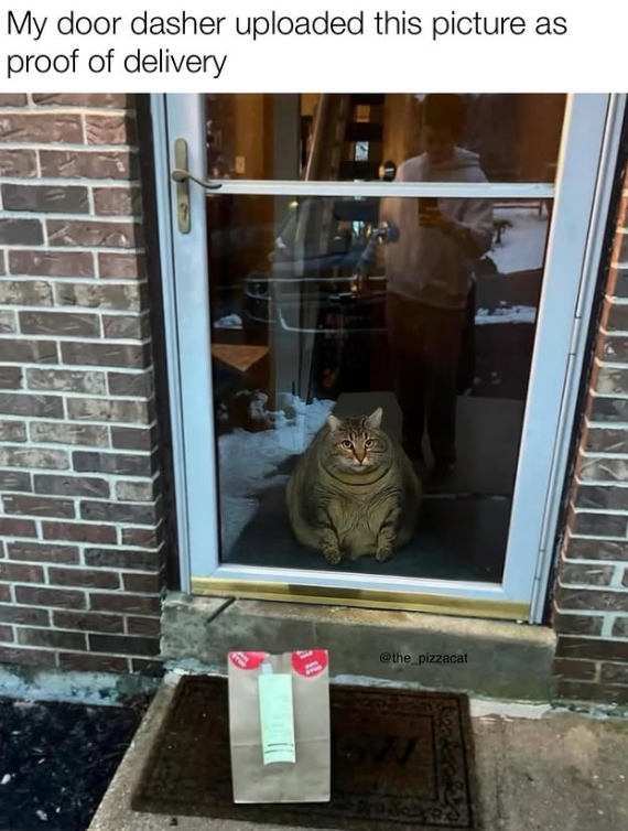 My door dasher uploaded this picture as proof of delivery @the_pizzacat 5W