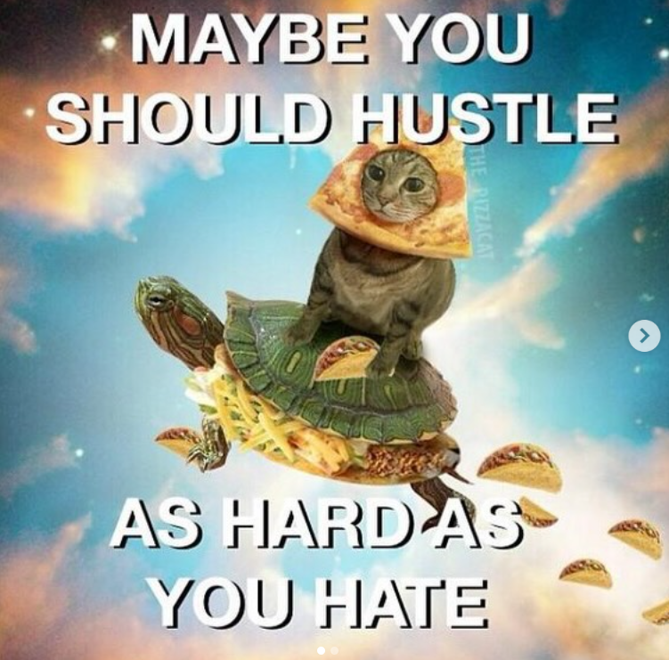 MAYBE YOU SHOULD HUSTLE THE PIZZACAT AS HARD AS YOU HATE >