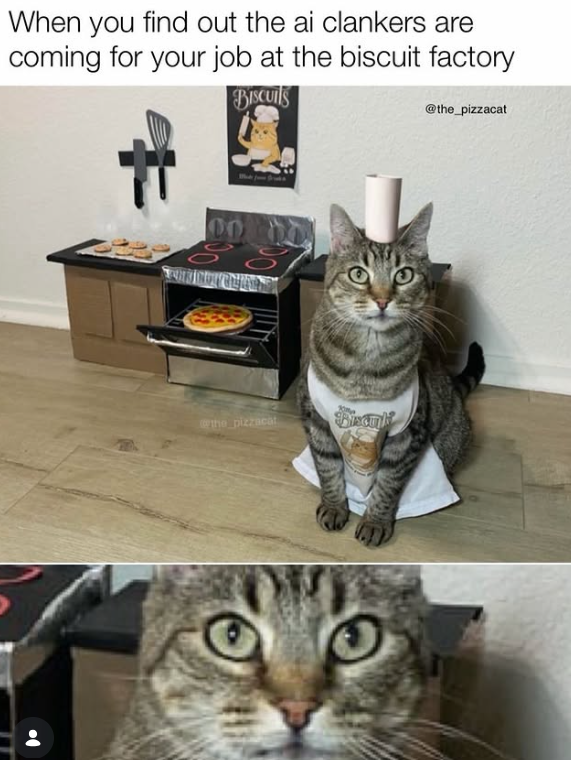 When you find out the ai clankers are coming for your job at the biscuit factory BISCUITS @the_pizzacat the pizzacat Piscuk