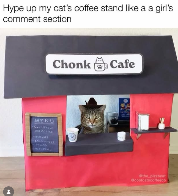 Hype up my cat's coffee stand like a a girl's comment section Chonk Cafe MENU COLD BREW HOT COFFEE BLSCUITS MUFFIN TOPS TREATS WET FOOD THES @the_pizzacat coolcatscoffeeco
