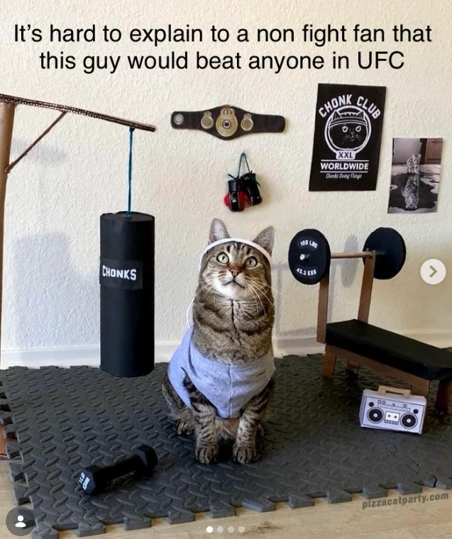 It's hard to explain to a non fight fan that this guy would beat anyone in UFC CHONK CLUB 00007 CHONKS XXL WORLDWIDE Ounks Day Th trand > pizzacatparty.com