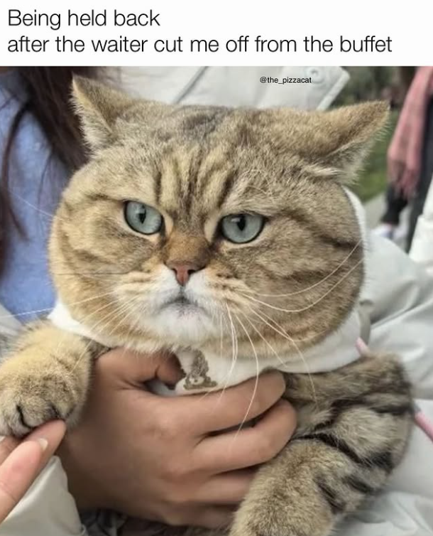 Being held back after the waiter cut me off from the buffet @the_pizzacat