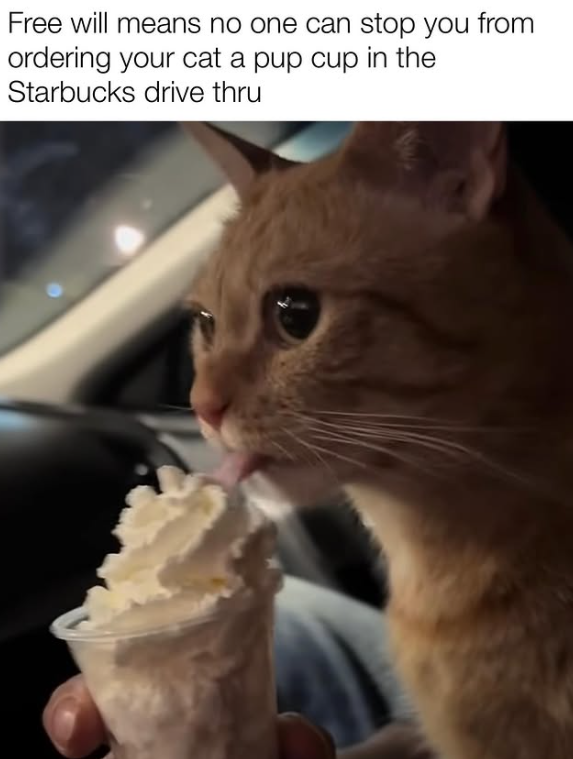 Free will means no one can stop you from ordering your cat a pup cup in the Starbucks drive thru