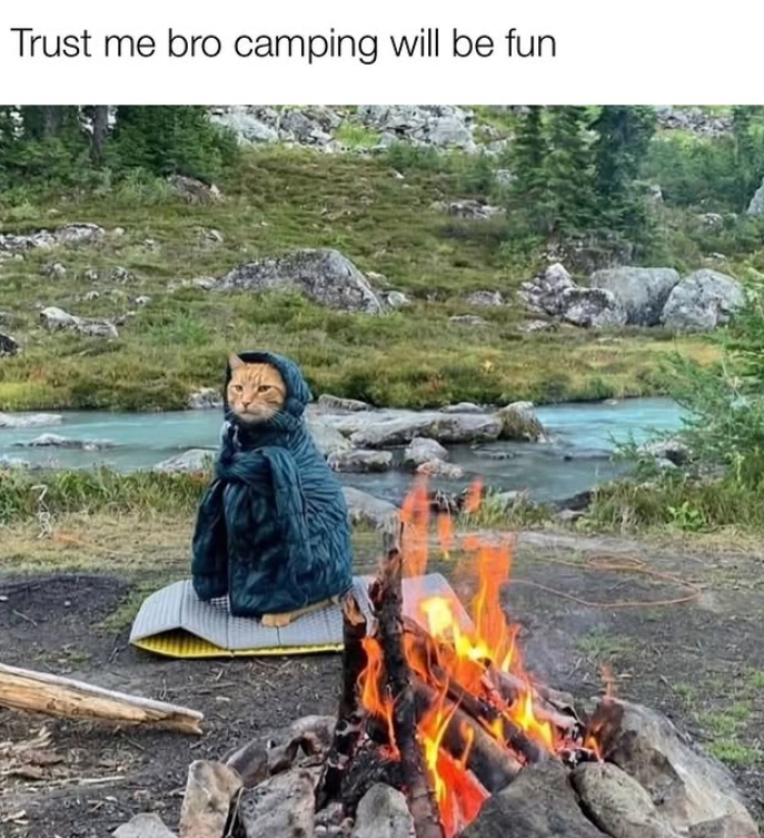 Trust me bro camping will be fun