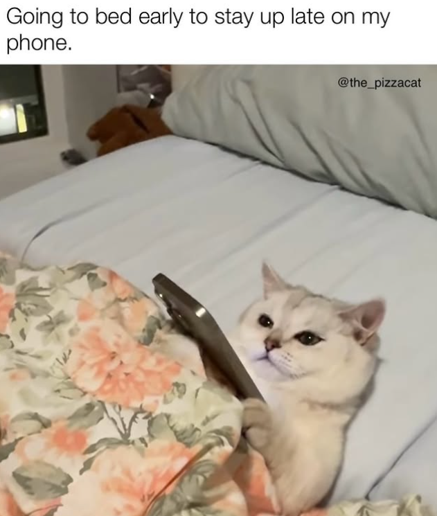 Going to bed early to stay up late on my phone. @the_pizzacat