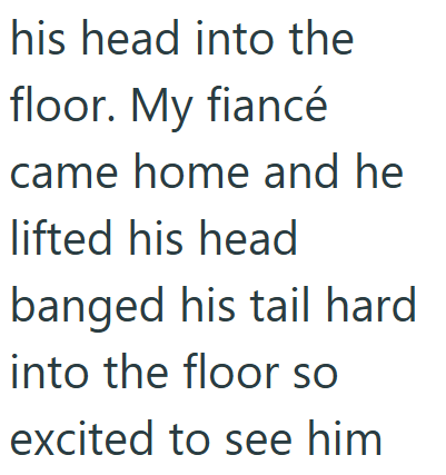 his head into the floor. My fiancé came home and he lifted his head banged his tail hard into the floor so excited to see him