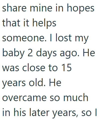 share mine in hopes that it helps someone. I lost my baby 2 days ago. He was close to 15 years old. He overcame so much in his later years, so I
