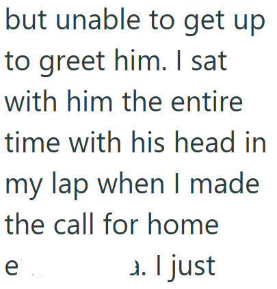 but unable to get up to greet him. I sat with him the entire time with his head in my lap when I made the call for home e 1. I just