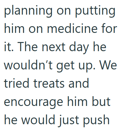 planning on putting him on medicine for it. The next day he wouldn't get up. We tried treats and encourage him but he would just push