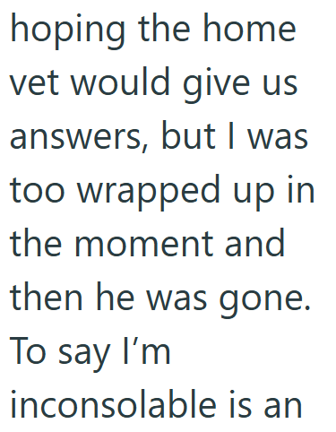hoping the home vet would give us answers, but I was too wrapped up in the moment and then he was gone. To say I'm inconsolable is an