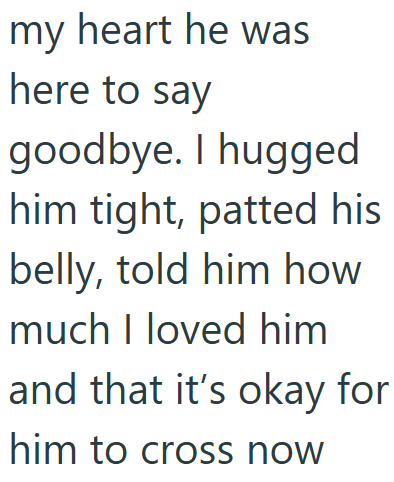 my heart he was here to say goodbye. I hugged him tight, patted his belly, told him how much I loved him and that it's okay for him to cross now