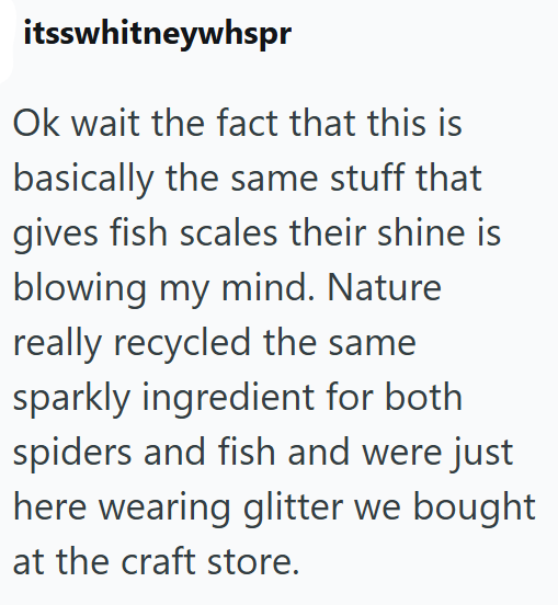 itsswhitneywhspr Ok wait the fact that this is basically the same stuff that gives fish scales their shine is blowing my mind. Nature really recycled the same sparkly ingredient for both spiders and fish and were just here wearing glitter we bought at the craft store.