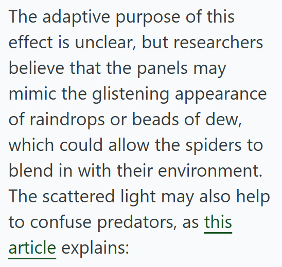 The adaptive purpose of this effect is unclear, but researchers believe that the panels may mimic the glistening appearance of raindrops or beads of dew, which could allow the spiders to blend in with their environment. The scattered light may also help to confuse predators, as this article explains: